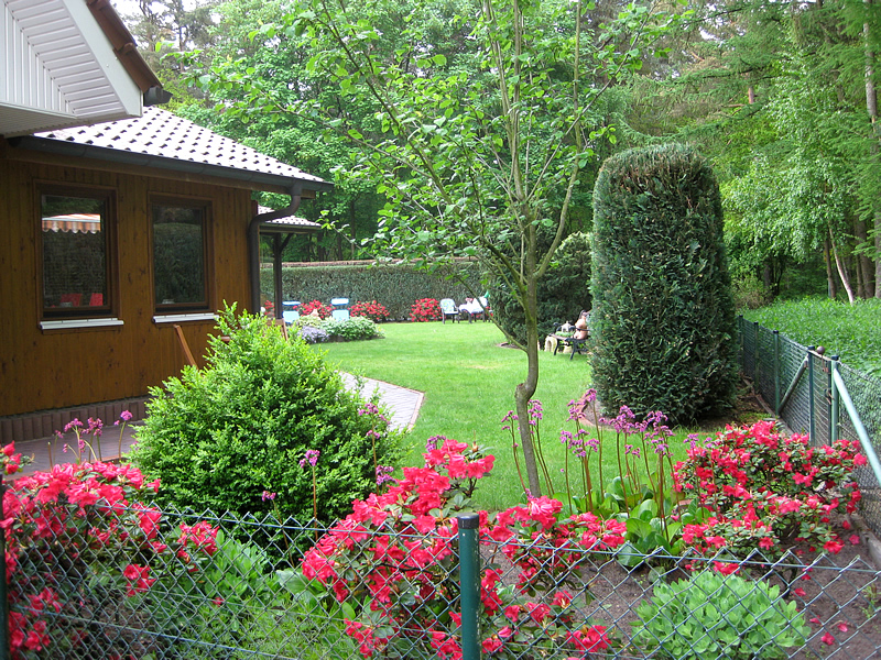 Ferienhaus Hasetal - Blick in den Garten
